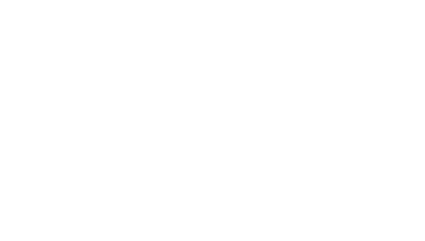 Tax Protection Plus Logo